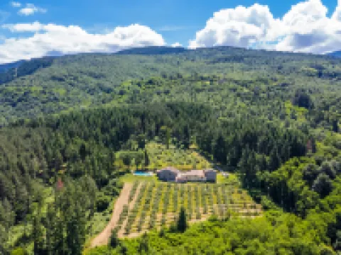 Certina 4 Hotels in Pelago