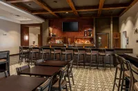 Drury Plaza Hotel Dallas Arlington - bar