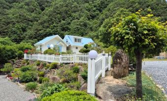 Soomhouse Renewal Open June 2024