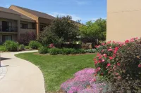 Courtyard Rockford