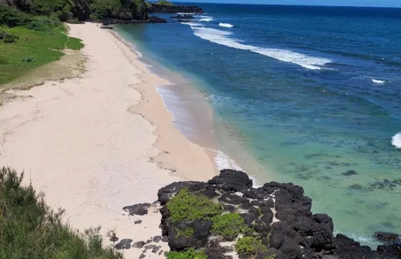 位於藍海灣的3卧室獨棟房屋-325平方米|帶3個獨立浴室