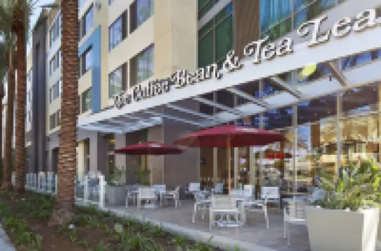 SpringHill Suites at Anaheim Resort/Convention Center アナハイムのホテル