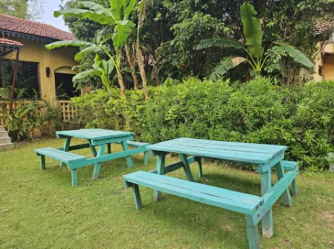 The Celebration Van Vilas