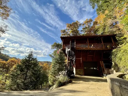 Tree House Treasure ~ Rare Find ~