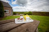 Wild Rose in Rural Location with Lovely Views on a Working Farm with Walks Hotels in Jedburgh