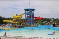 Beach House Shady Oaks Gulfport Ocean Views Walk to the Beach, Fire pit, Grill - ติดทะเล
