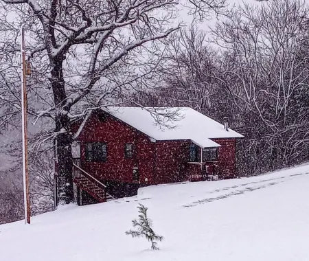 River Front Eagle Cabin Retreat on the Kings River Отели в г. Carroll County
