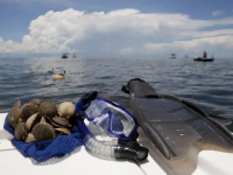 #1 rental in Steinhatchee, affordable, convenient, comforts of home. Hotels in Steinhatchee