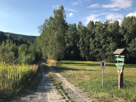 Apartment for young and old Отели в г. Зоннеберг