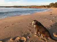 Big Sur Lodge-Style House in Carmel with PANORAMIC Ocean, Bay & Valley VIEWS!