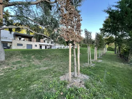 Large architect-designed house