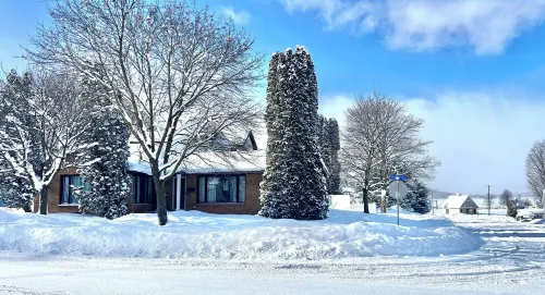 Downtown Boyne City Summer—Near Restaurants, Shops, Festivals & Peninsula Beach