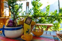 Independent house with access to a panoramic lemon grove on the Amalfi Coast!