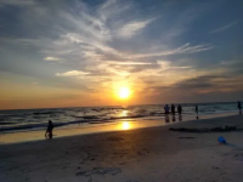 Palmas de Lucia w/Hot Tub+5mi to Beach, Near IMG!