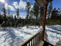 Secluded cabin on 6 acres- wood fireplace- sleeps 11