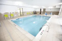 託利多/俄勒岡希爾頓歡朋酒店 - 泳池
