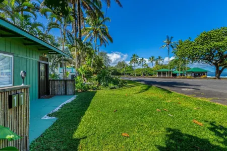 Hilo Hawaiian Beach Apartment Отели рядом с Аэропорт Хило