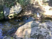 Apartment in the countryside Hotels in Arzachena