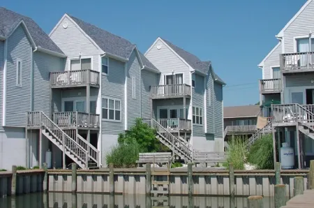 Sea Star-Views of the Lighthouse!