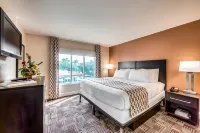 Inn of Naples, Tapestry Collection by Hilton