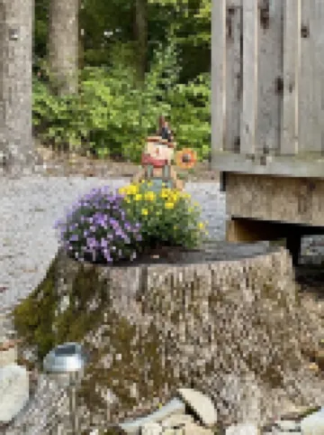 Lake side Abode with a Spectacular year round View of the lake. 🌅