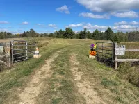 "Outdoors Oasis" Cozy cabin north of Bemidji.