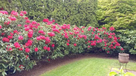 Private Edmonds Studio Apartment Отели в г. Эдмондс