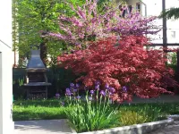 Villa Ada 2 - Comfort 10 minutes from Venice Hotel di Marghera