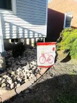 The Hen House