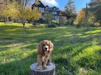 Magical Retreat In Julian With Pool & Amazing Views Hotels in Julian