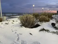 Virginia Beach, oceanfront, boardwalk, beach, fun, dolphins
