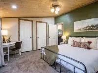 New!!!Thuja Hideaway next to NewRiverGorge. Amazing star gazing. Pet friendly! Hotels in Plateau