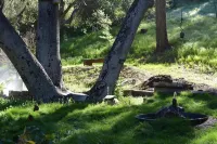 Redwood House☀️Magical Topanga Getaway Park Access