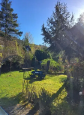 Vacation cottage directly in the Palatinate Forest