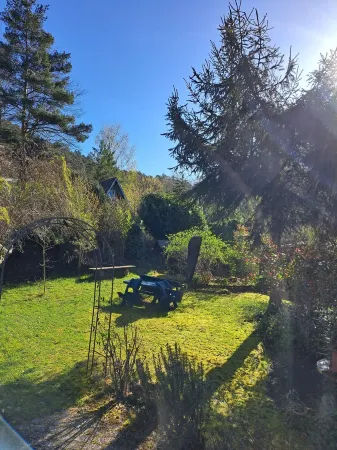 Vacation cottage directly in the Palatinate Forest