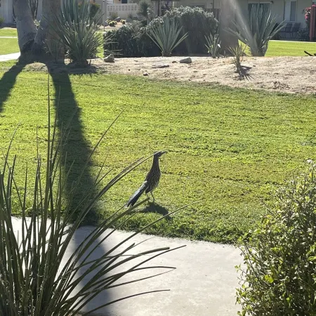 Comfortable & Spacious Borrego Springs Hideaway Отели в г. Боррего-Спрингс