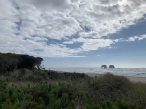 Romantic Tropical-themed Bungalow by the Sea. Pet Friendly!! Sleeps 2 락커웨이비치 호텔