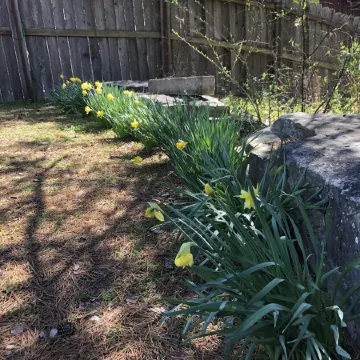 Best view of the river!