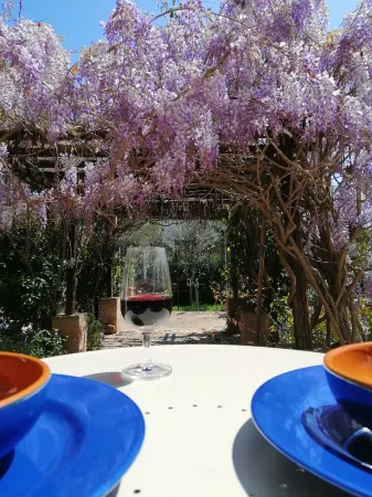 Mediterranean dream a few km from Pula, villa 200 m from the sea