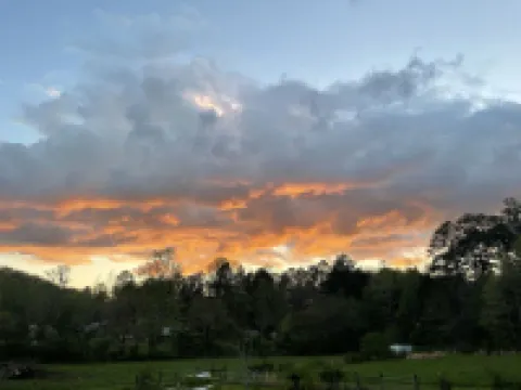 6 Minutes to Downtown Blue Ridge. Fully Updated, Amazing, Serene Barn Studio.