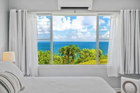 NEW! Tropical Oceanfront Piece of Paradise, Every Room with Ocean Views and A/C!