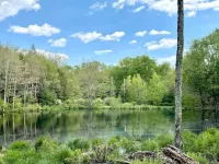 Sweet Suite Tiny House w/ Zen Vibes on Quiet Lake Hotels in Fallsburg