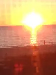 Direct Beachfront Gulf with Amazing Views - Beach