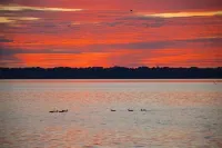 Sportman's Oasis on Reelfoot Lake