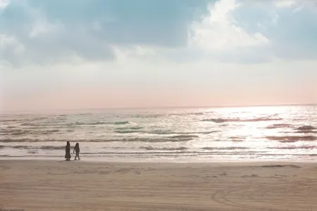 La Belle a BEACHFRONT Escape - Sleeps 12 - 4Bedroom, 4Bath - Dune Walkover