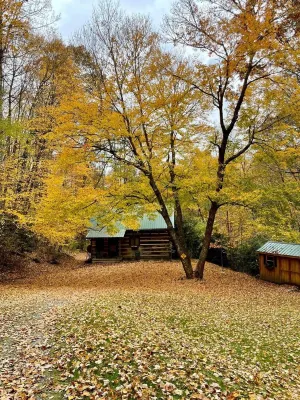 Log Cabin - Best 3 Bdrm Value -  Close to Boone & ASU - Free Night for every 3