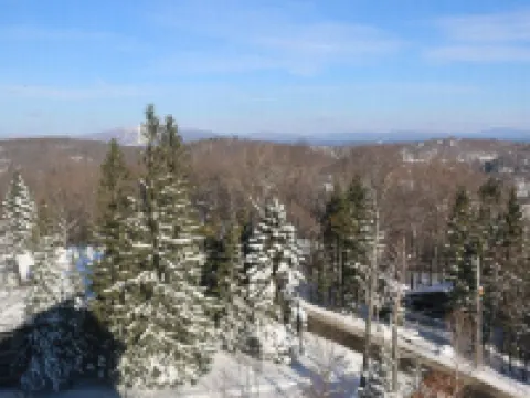 Spacious 4Br/4Bth Lodge With Ice Skating Pond, Heated Pool, 3 Min Walk To Ski Hotels in Stratton Mountain