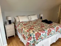2 Acre Oasis with Private Beach! Family and dog friendly! - 4-Star