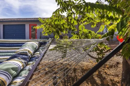 The Joshua Tree Desert Duo - A