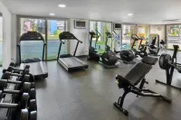 Seth Punta Prima - Gym